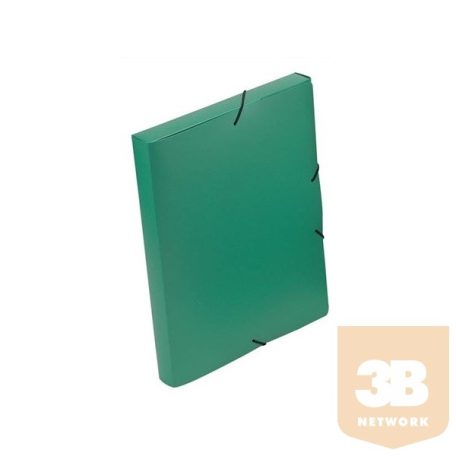 VIQUEL Gumis mappa, 30 mm, PP, A4, VIQUEL "Coolbox", zöld