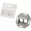 Angled 2 Port Keystone 50x50mm Faceplate RAL9010 (100-283)