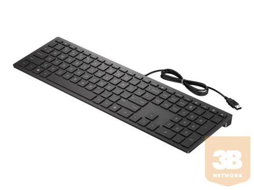 HP Pavilion 300 Wired Keyboard ALL