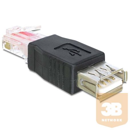 ADA Delock 65234 USB anya - RJ45 anya adapter