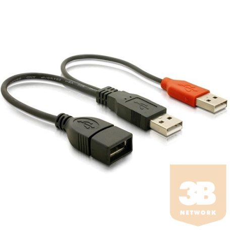 KAB Delock 65306 USB adat- és hálózati kábel