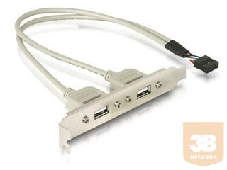 Delock panel USB 2.0 x2