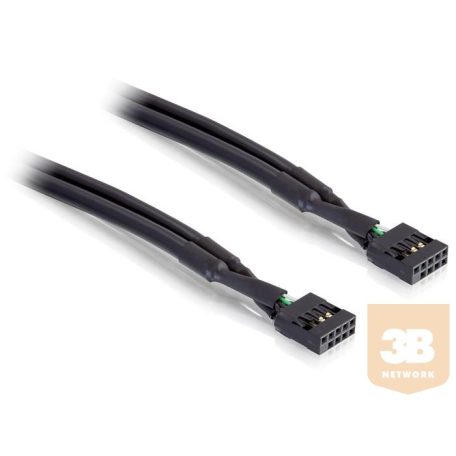 Delock Cable USB pinheader female / female 10 pin (industry)