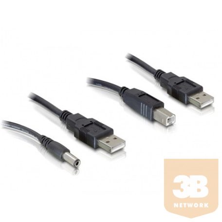 KAB Delock 82461 2db USB-A - DC + USB-B kábelszett - 30cm