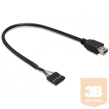ADA Delock 83170 USB 2.0 pin fejes anya > USB mini apa kábel - 30 cm