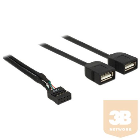 KAB Delock 83823 pin header anya > 2x USB2.0 Type-A anya USB kábel - 0,4m
