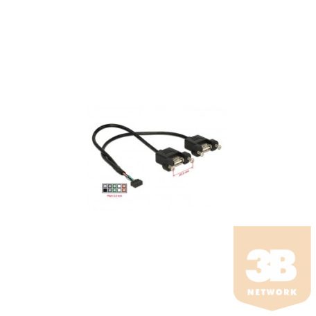 KAB Delock 84832 USB2.0 pin header anya 2mm 10tűs > 2x USB2.0 Type-A anya panel modul kábel - 0,25m