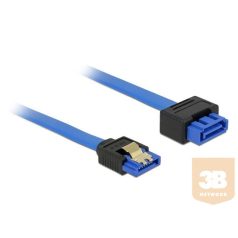   Delock Extension cable SATA 6 Gb/s receptacle straight > SATA straight 20cm blue