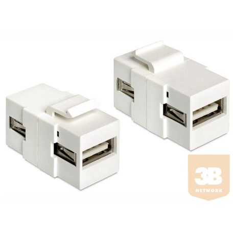 Delock Keystone module USB 2.0 A female > USB 2.0 A female