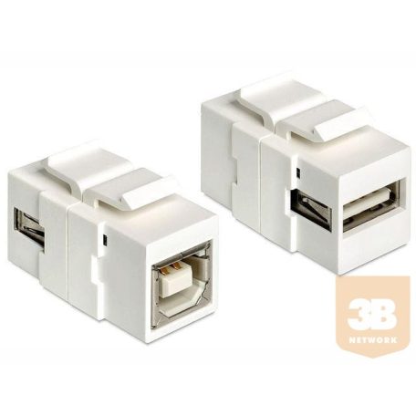 Delock Keystone module USB 2.0 A female > USB 2.0 B female