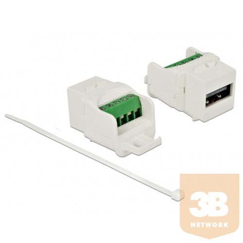 Delock 86376 Keystone modul USB 2.0 A anya > sorkapocs modul