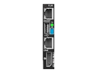 HPE Synergy 4-port Frame Link Module