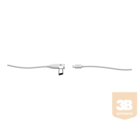 LOGITECH RALLY MIC POD EXTENSION CABLE - OFF-WHITE - WW
