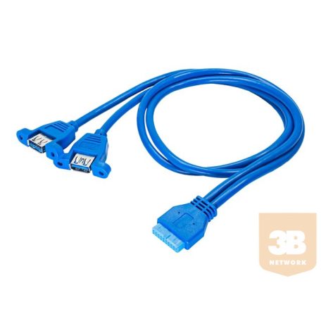 AKYGA AK-CA-62 Adapter with cable 2x USB 3.0 A f / USB 3.0 19-pin header f