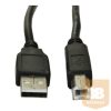 KAB Akyga AK-USB-18 USB 2.0 A-B - 5m