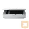 EPSON Docuscanner WorkForce DS-5500, USB, A4 8lap/perc, 1200 dpi