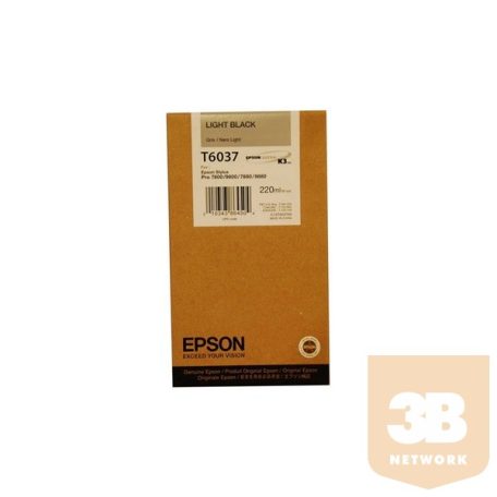 EPSON Patron Singlepack T603700 light black 220 ml