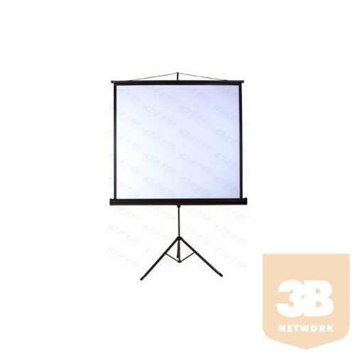 FUNSCREEN 111" (1:1) manuális hordozható vetítővászon (Tripod, Méret: 200x200 cm, Látható méret: 196x196 cm)