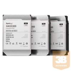 SYNOLOGY SAS HDD 12TB 3,5" - HAS5300-12T