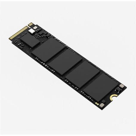 HIKSEMI SSD M.2 2280 NVMe Gen3x4 256GB E1000 (HIKVISION)