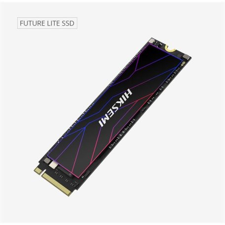 HIKSEMI SSD M.2 2280 PCIe 4.0 NVMe Gen4x4 2048GB FutureX Lite with Heatsink (HIKVISION)