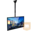 TECHLY ICA-CPLB 946L teleszkópos mennyezeti LCD TV konzol, 37-70"