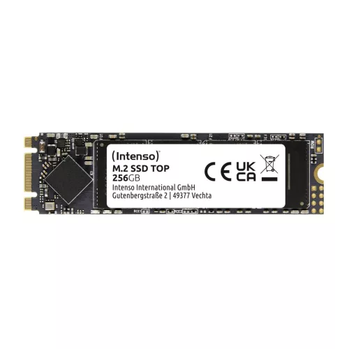 Intenso 256GB M.2 2280 Top