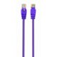 Gembird CAT5e U-UTP Patch Cable 0,25m Purple