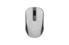 Genius NX-8008S Wireless Silent mouse White/Grey