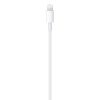 Apple USB-C - Lightning Cable 1m White