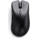 Glorious Model D 2 PRO Series Wireless Mouse Black