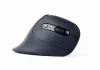 Gembird MUSW-ERGO-03 Mouse Black