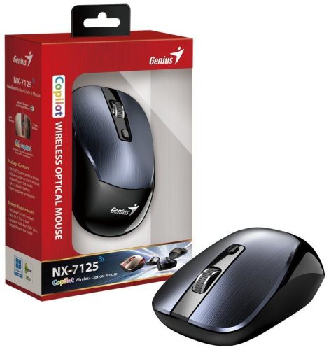 Genius NX-7125 Wireless Mouse Iron Grey