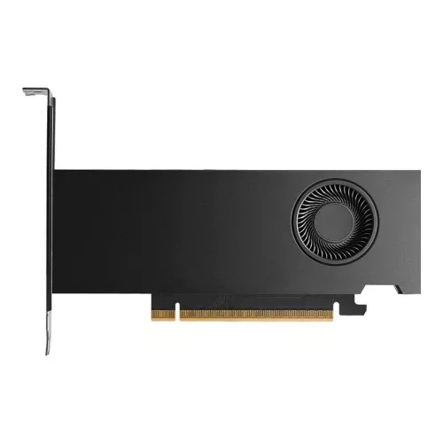 PNY RTX PRO 2000 Blackwell 16GB DDR7