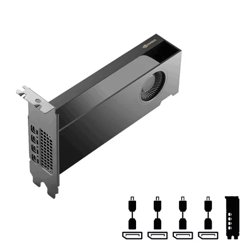 PNY RTX PRO 2000 Blackwell 16GB DDR7
