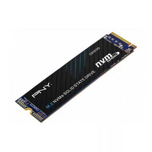 PNY 256GB M.2 2280 NVMe CS1030 OEM