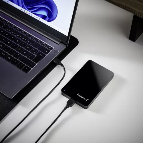 Intenso 320GB 2,5" USB3.2 Black