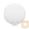 ZYXEL Wireless AC Pro Access Point Dual optimised 802.11ac 3x3 Standalone (with passive PoE injector)