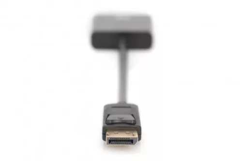 DIGITUS AK-340401-001-S Full HD 60Hz 1.1a DisplayPort - DVI-I Adapter 0,15m