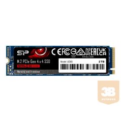   SILICON POWER SSD UD85 250GB M.2 PCIe NVMe Gen4x4 NVMe 1.4 3300/1300MB/s