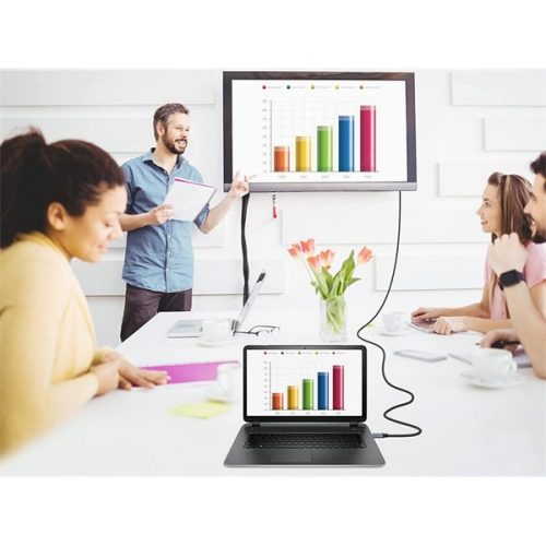 Equip Kábel - 119281 (Premium, DisplayPort2.1 kábel, 4K/240Hz, apa/apa, fekete, 1m)