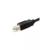 Equip Átalakító Kábel - 12888207 (USB-C -> USB-B 2.0 kábel, apa/apa, 1m)