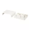 Equip Keystone Fali aljzat - 125124 (2 port, Cat5e/Cat6/Cat6A, árnyékolatlan, porvédő, fehér)