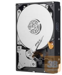 WD Blue 3.5'' merevlemez, 1TB, SATA/600, 7200RPM, 64MB cache