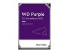 WD Purple 1TB SATA 6Gb/s HDD 3.5inch internal 64MB Cache