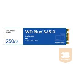   WD Blue SA510 SSD 250GB M.2 2280 SATA III 6Gb/s internal single-packed